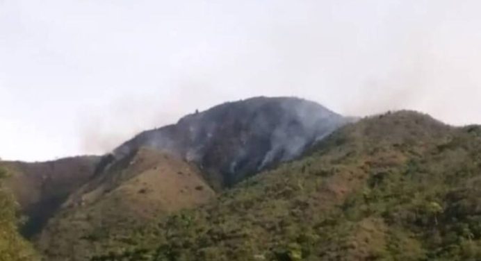 Unas 180 hectáreas de Trujillo resultaron afectadas por recientes incendios