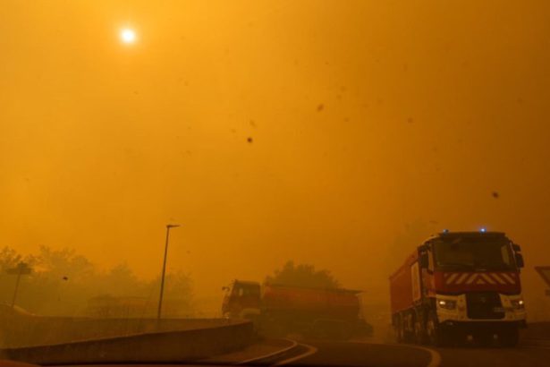 incendios forestales