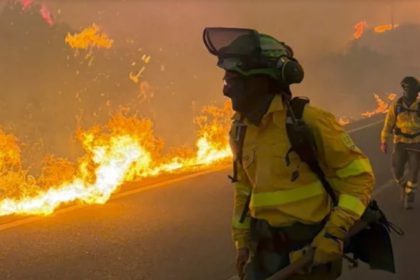 incendio forestal