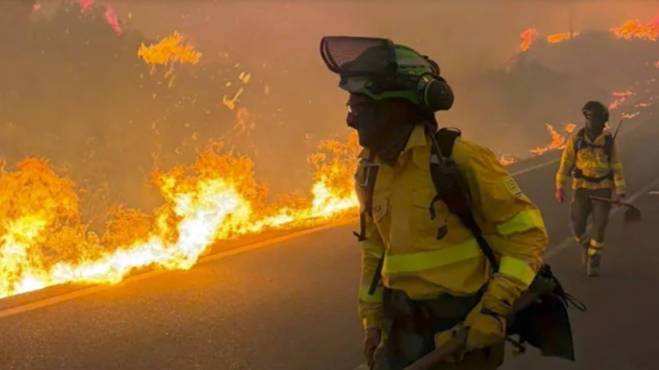 incendio forestal