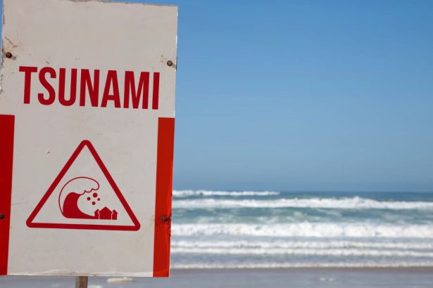 Alerta de tsunami