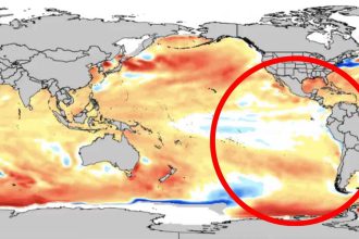 EL Niño Costero