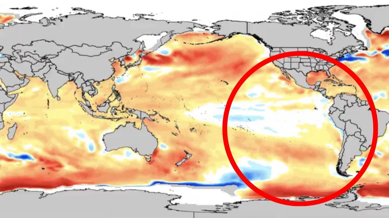 EL Niño Costero