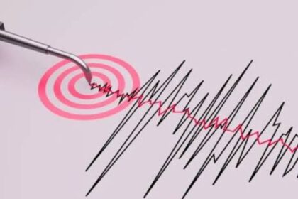 Sismo en el centro del país