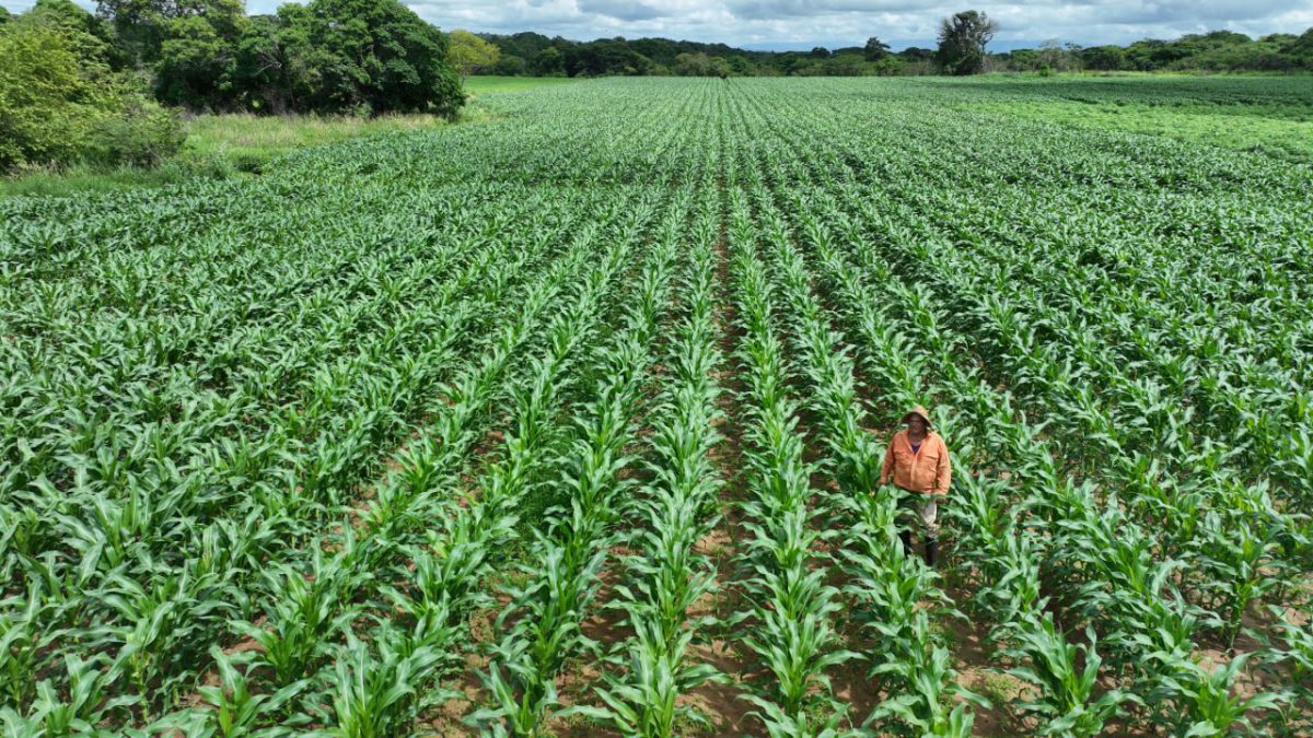 agro2