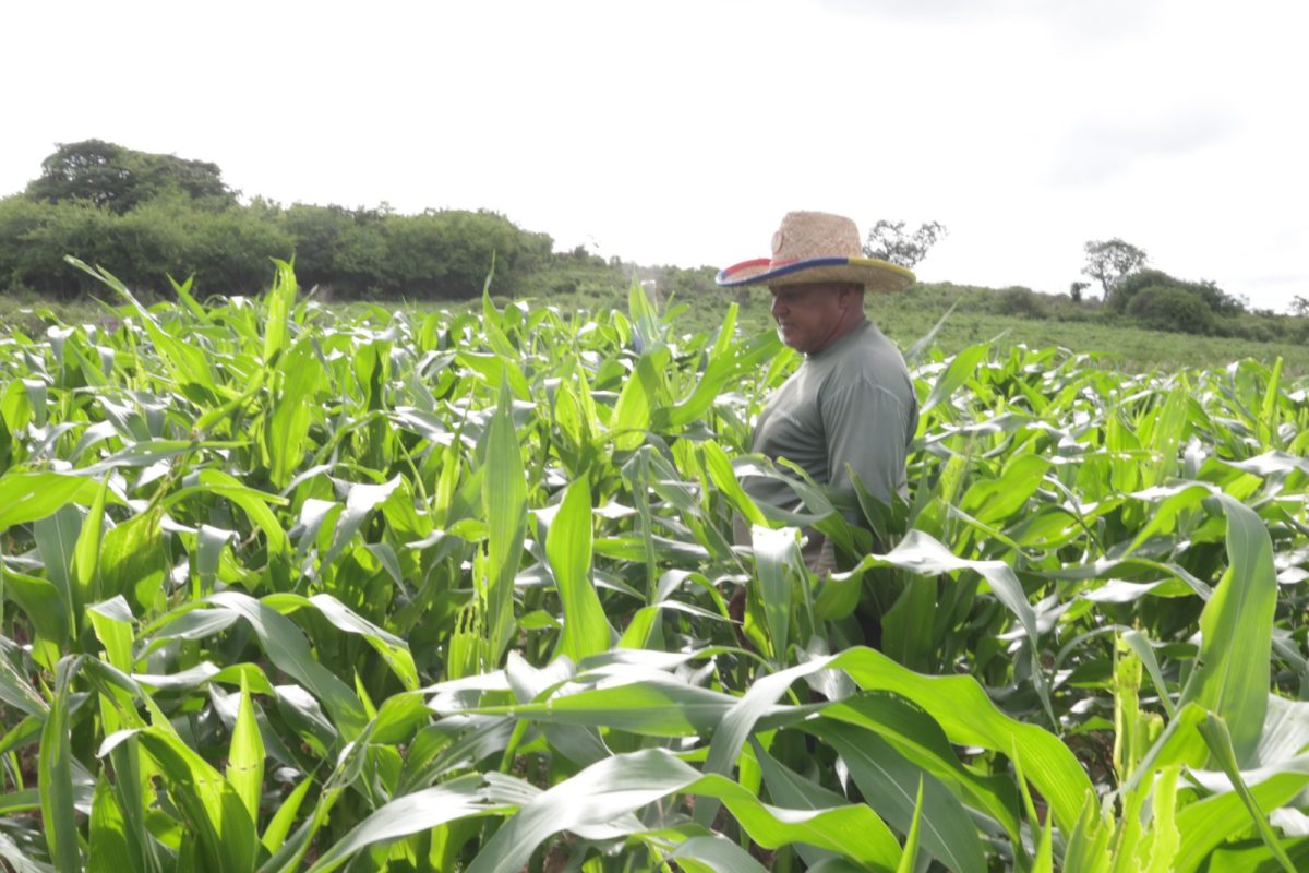 agro3