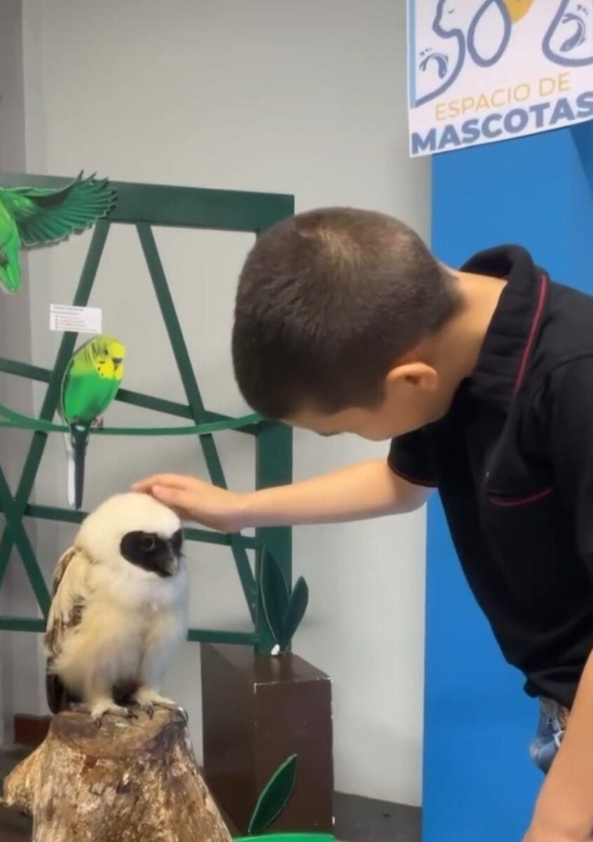 animal2