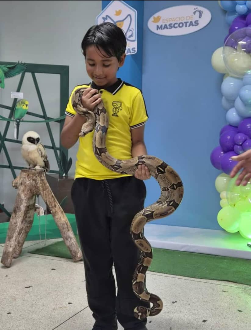 animal3