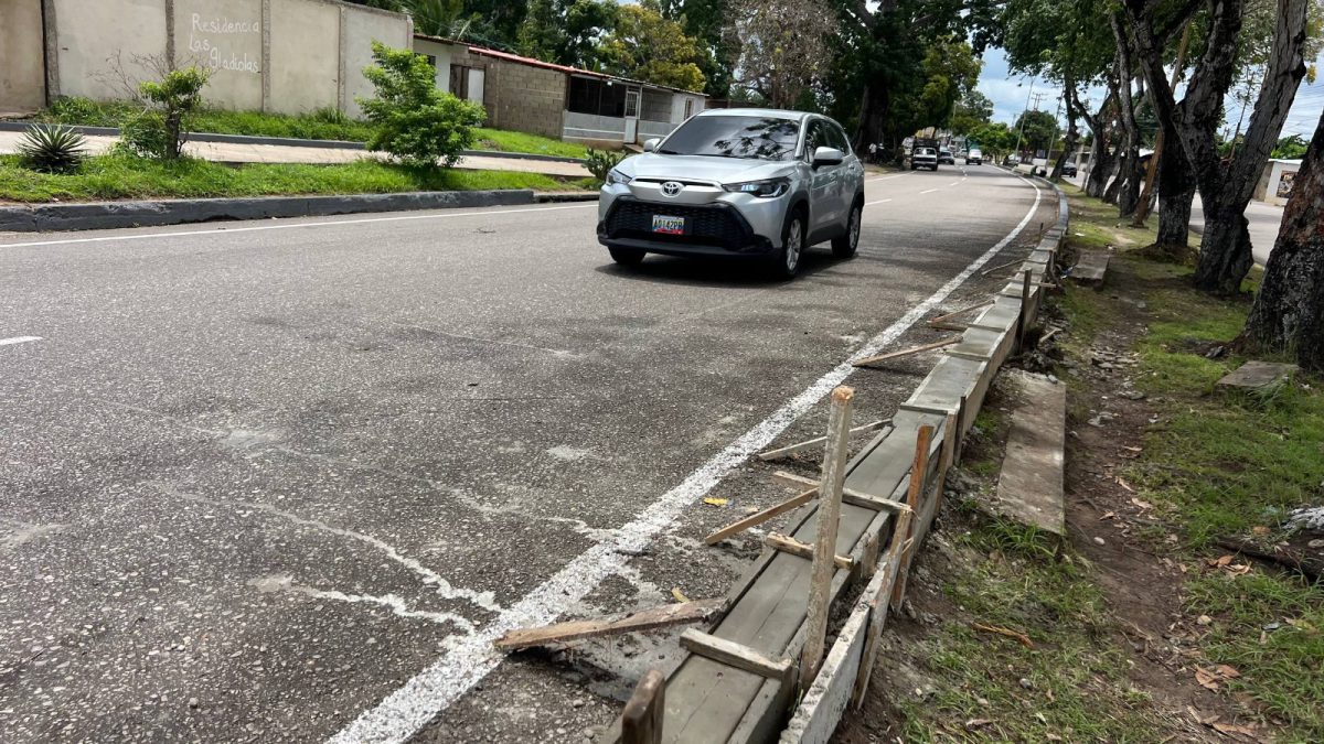 Alcaldía intervendrá más de 19 mil metros de brocales en la Avenida Libertador 3 avenida Libertador3