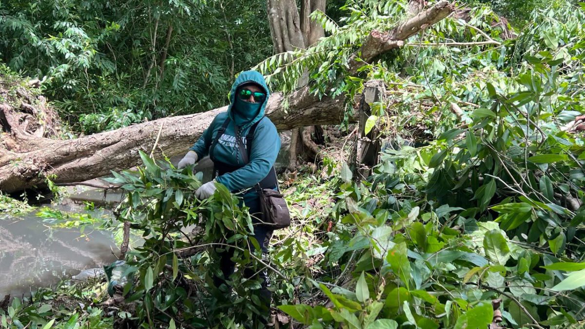 Alcaldía sanea 800 metros del caño Los Guaros 2 cano2