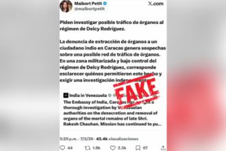 cuenta fake