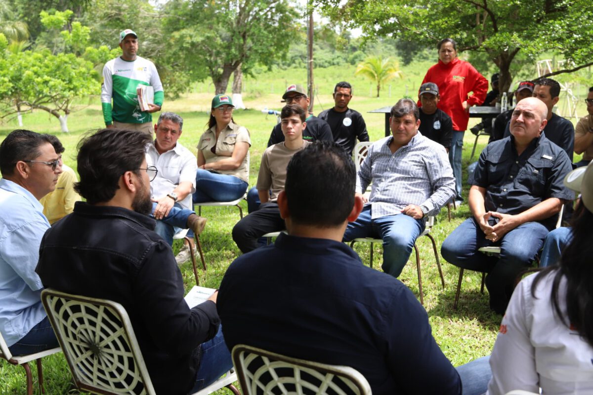 finca2