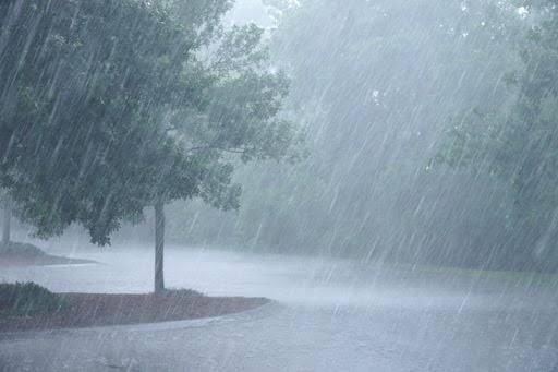 Torrenciales lluvias 