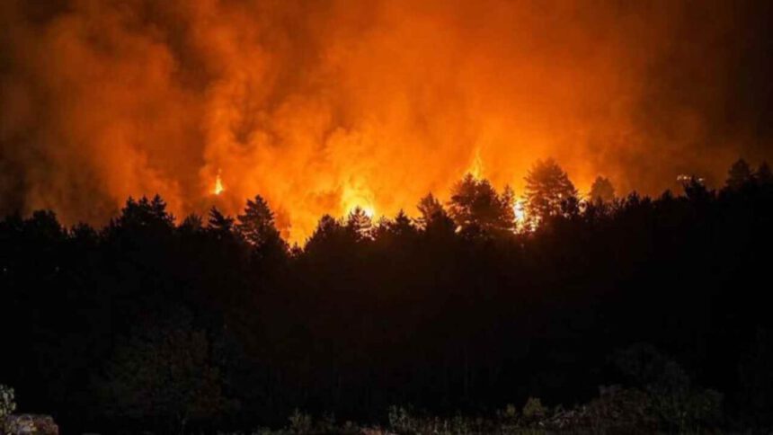 incendios
