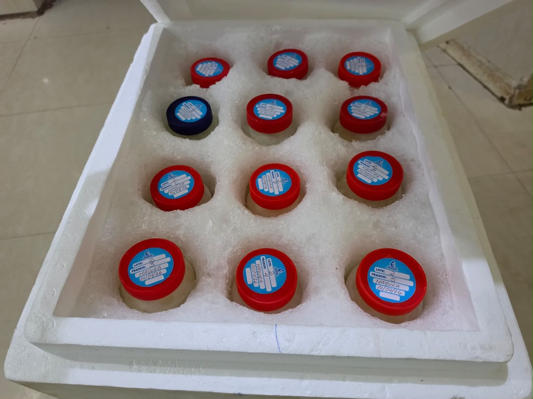 “Gotas de Esperanza” envía 30 mil mililitros de leche materna a niños afectados por sismos 4 leche4