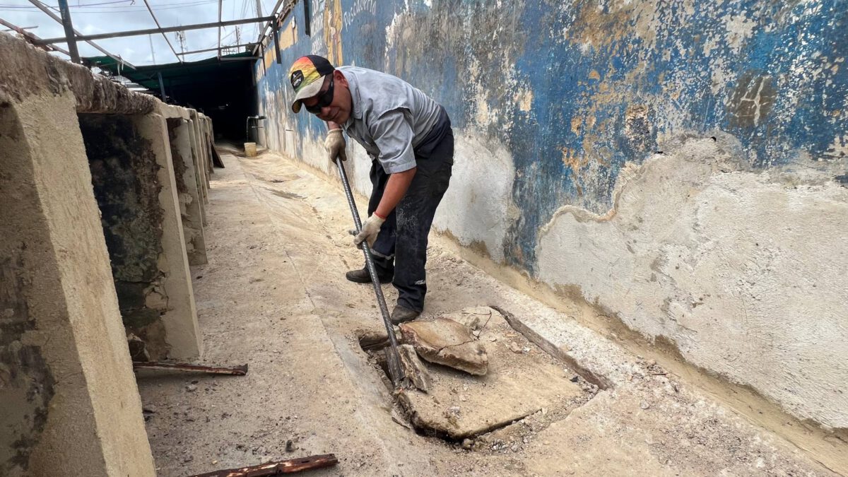 Alcaldía continúa ejecutando mejoras en el Mercado Los Bloques 3 mercado3