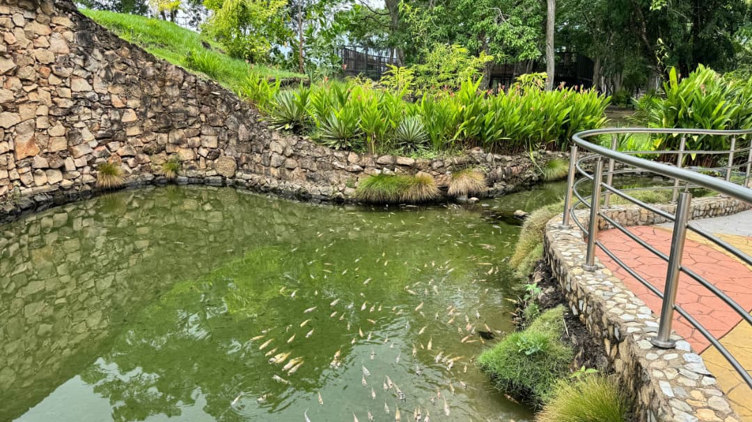 Parque La Guaricha: Terapia de serenidad y bienestar emocional para afectados por sismos 2 parque2