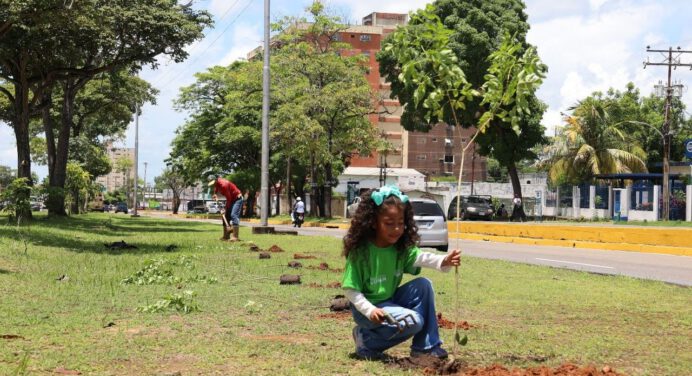 Niños y niñas lideran jornada de reforestación en la Avenida Libertador