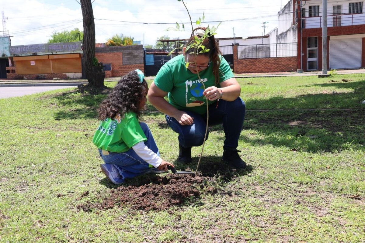 reforestacion2