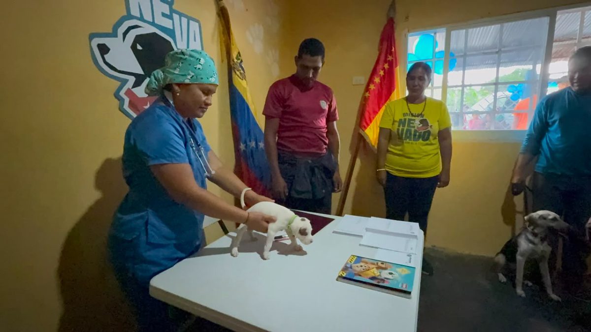 veterinario3