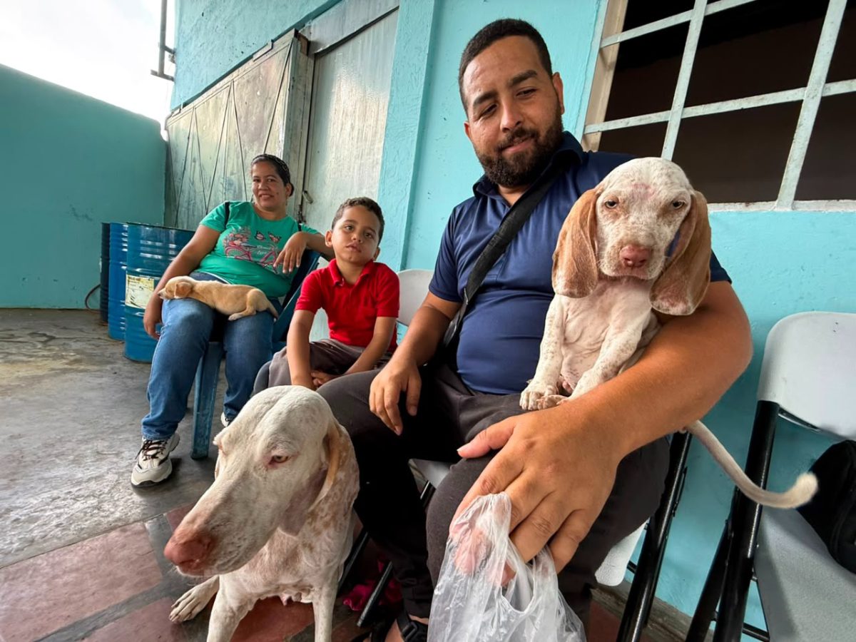 veterinario4