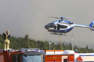 Incendio forestal