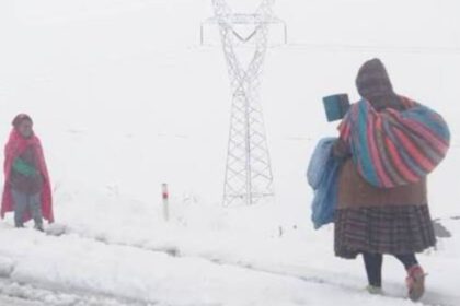 fuertes nevadas