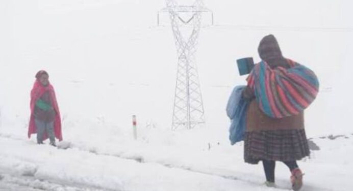 Fuertes nevadas en Bolivia dejan 26.220 familias y 323 comunidades afectadas
