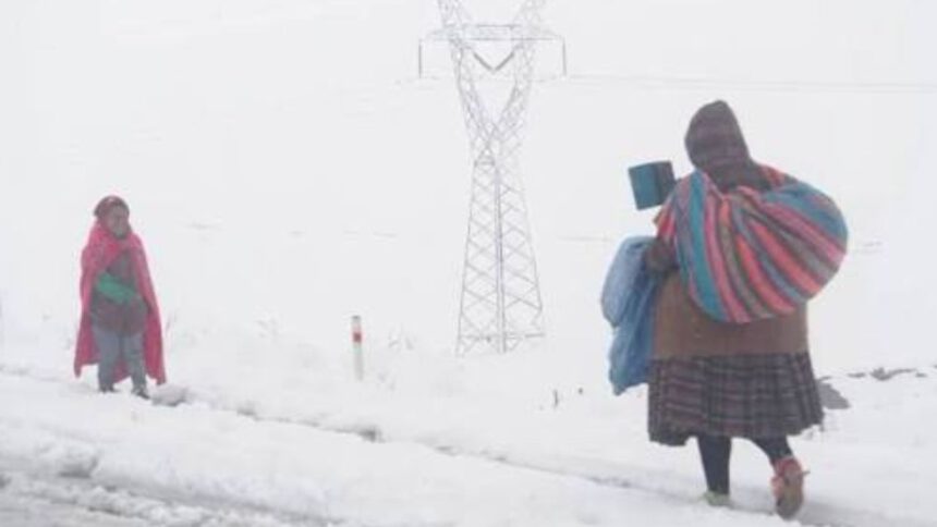 Fuertes nevadas en Bolivia dejan 26.220 familias y 323 comunidades afectadas 1 fuertes nevadas
