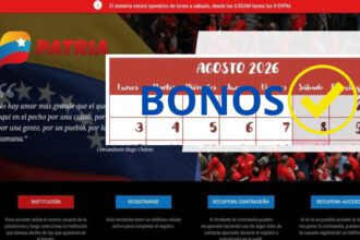 Consulta y acepta los BONOS