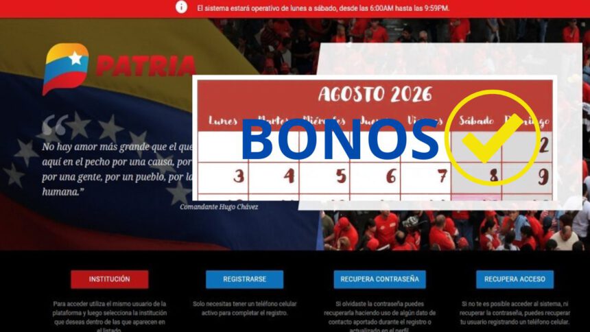 Consulta y acepta los BONOS