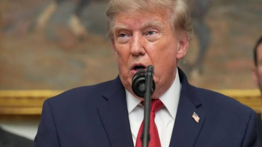 Trump afirma que Putin no atacará territorio de la OTAN 1 OTAN