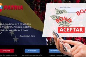 pago complementario en PATRIA