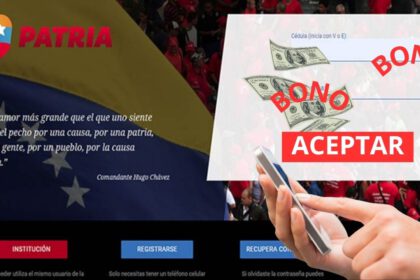 pago complementario en PATRIA