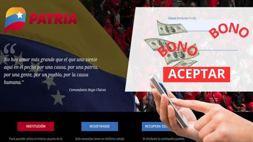 pago complementario en PATRIA