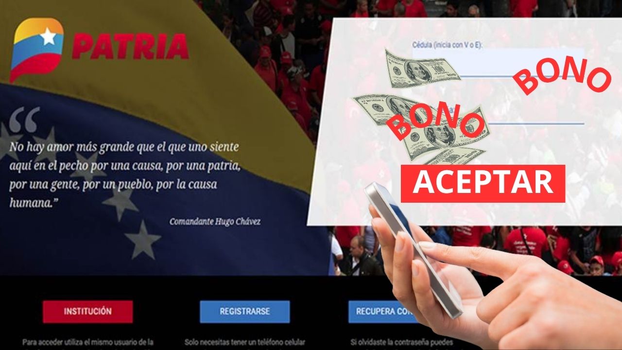 pago complementario en PATRIA