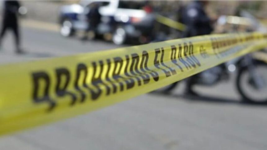 Al menos 10 muertos al volcarse un autobús en la sierra de Río de Janeiro 1 accidente
