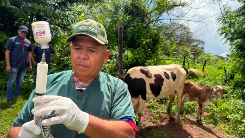 Realizan jornada sanitaria e inscripción en el Sigesai para productores en Cedeño 1 aftosa