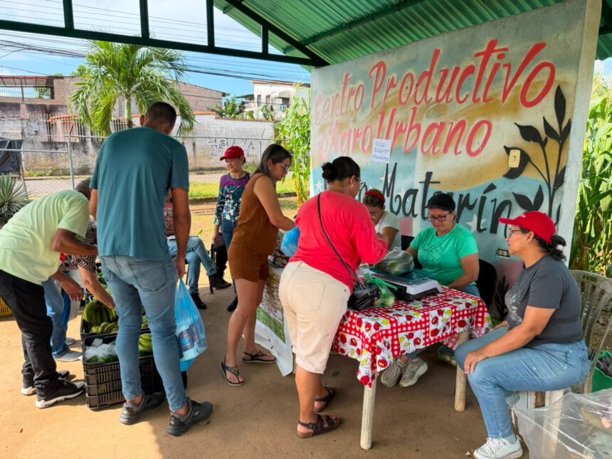 alimentos