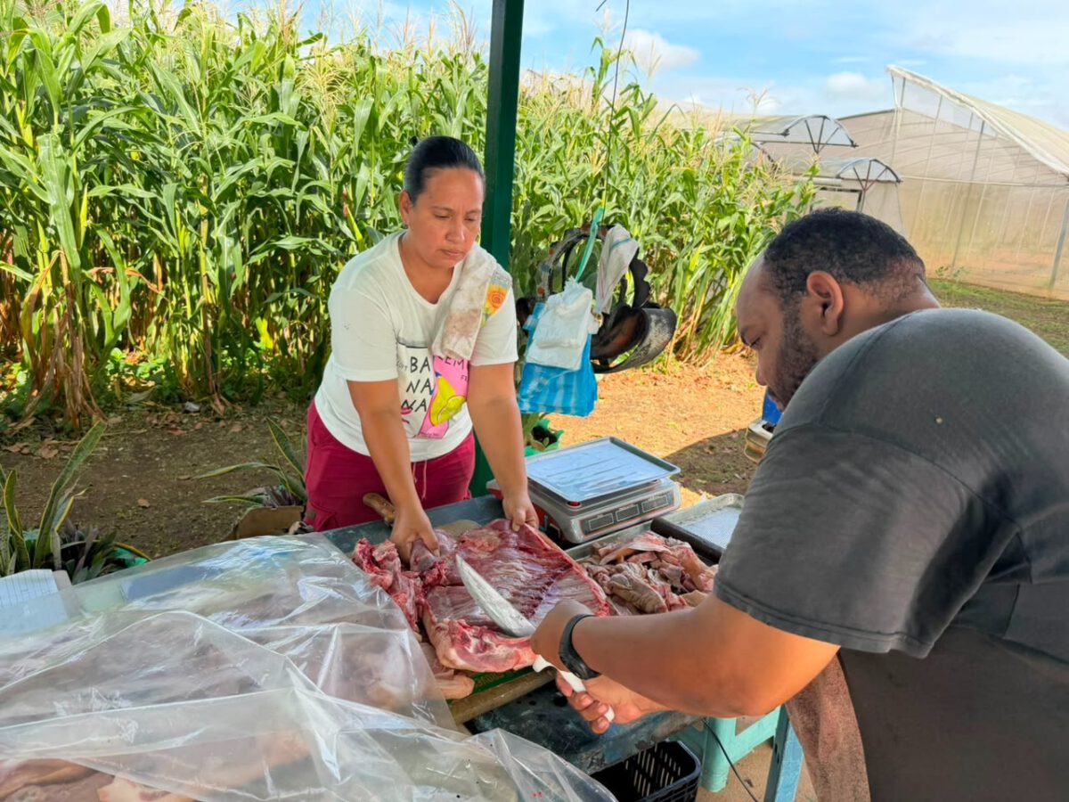 Distribuyen más de 5 toneladas de alimentos en 18 puntos de Maturín 3 alimentos3