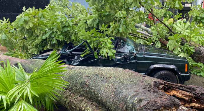 Fuerte lluvia y ventolera tumbó árboles y voló techos en Maturín (+fotos)