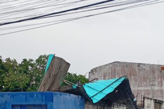 techo volado