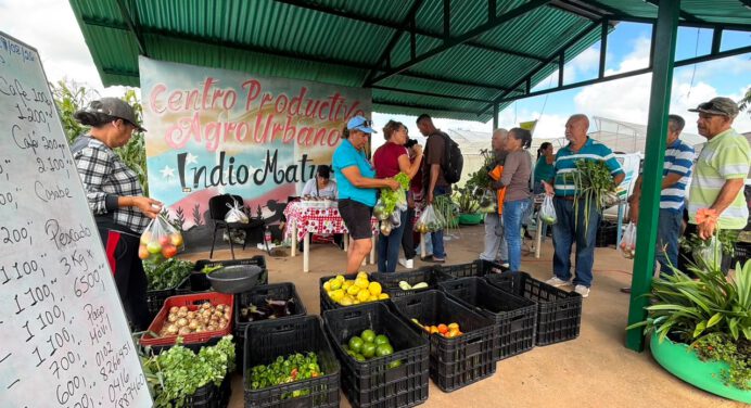 Tercera Feria campesina comunal favorece a 22 puntos de Monagas