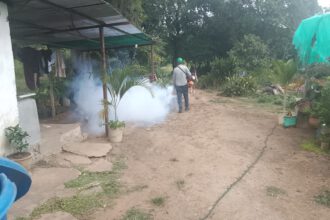 fumigación