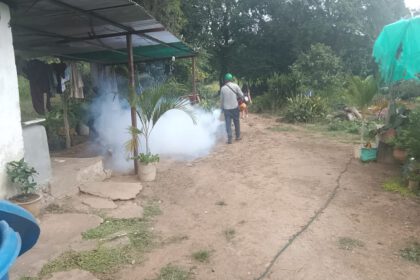 fumigación