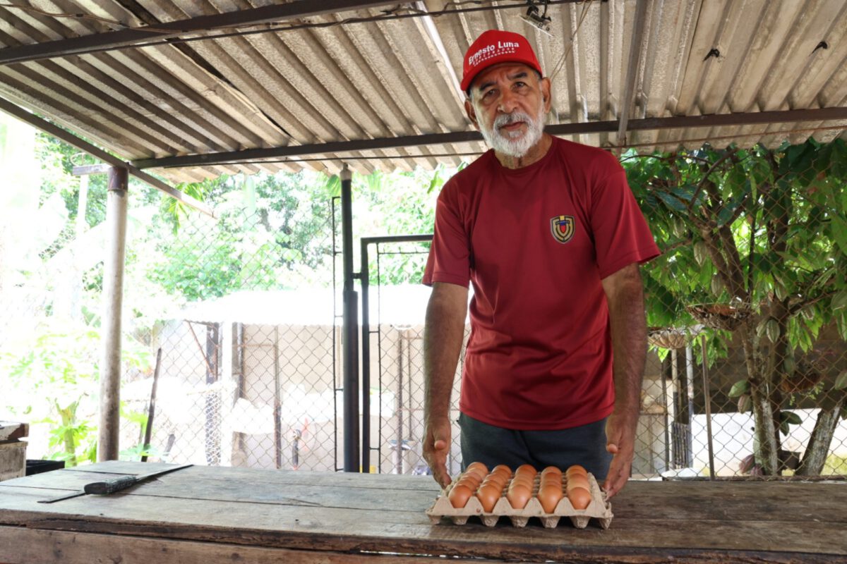 Raíces de Boquerón consolida la producción alimentaria en Maturín 2 huevos1