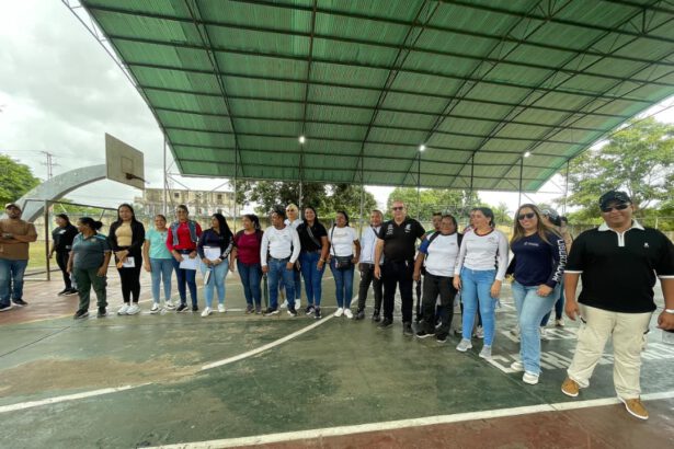 inspección
