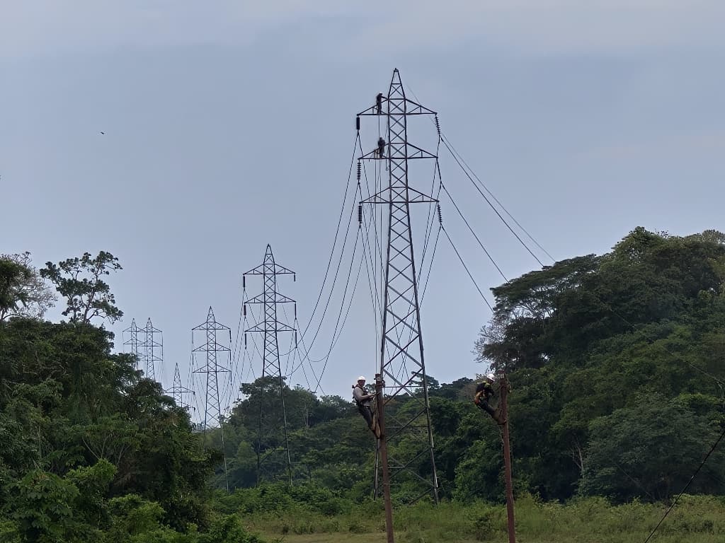 Municipios Punceres y Bolívar ya tienen energía eléctrica al 100 % 2 luz2