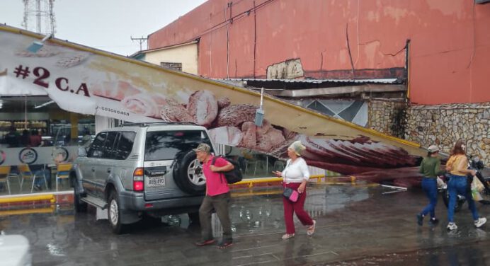 Fuerte lluvia con actividad eléctrica dejó árboles y letreros caídos en Maturín