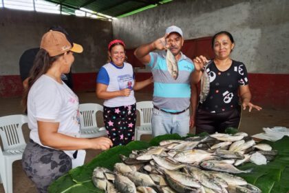 pescado
